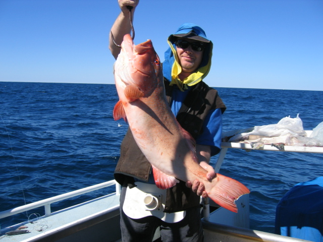 2006 Exy coral trout 2006 Exy coral trout